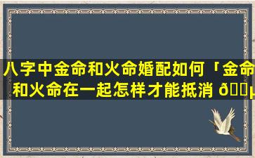 八字中金命和火命婚配如何「金命和火命在一起怎样才能抵消 🐵 相克」